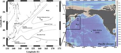 Fractionation of 226Ra and Ba in the Upper North Pacific Ocean